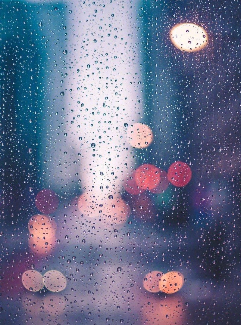  雨滴|一场春雨一场暖，春雨怎么拍才有味这些作品给你灵感