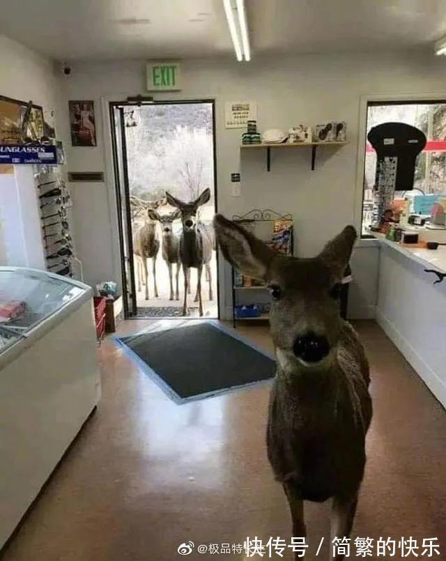 |有被冒犯到 冷段子1770