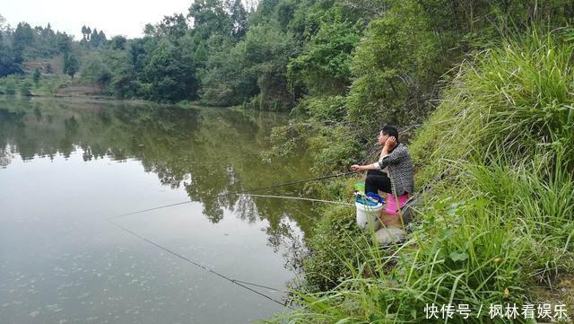 钓鱼|弄明白这几句话，野钓找鱼窝，简直易如反掌