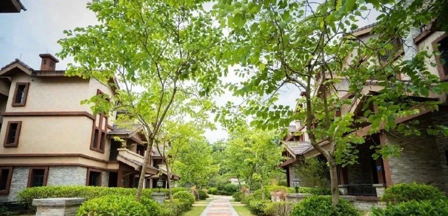 大城云山|云山墅让你回归自然，均价1.7万元/平！|实地测评| 自然
