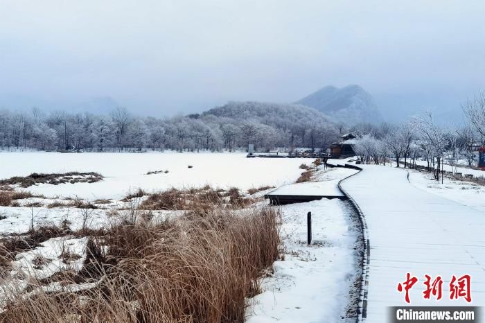 仙境|湖北神农架：白雪苍茫宛如仙境