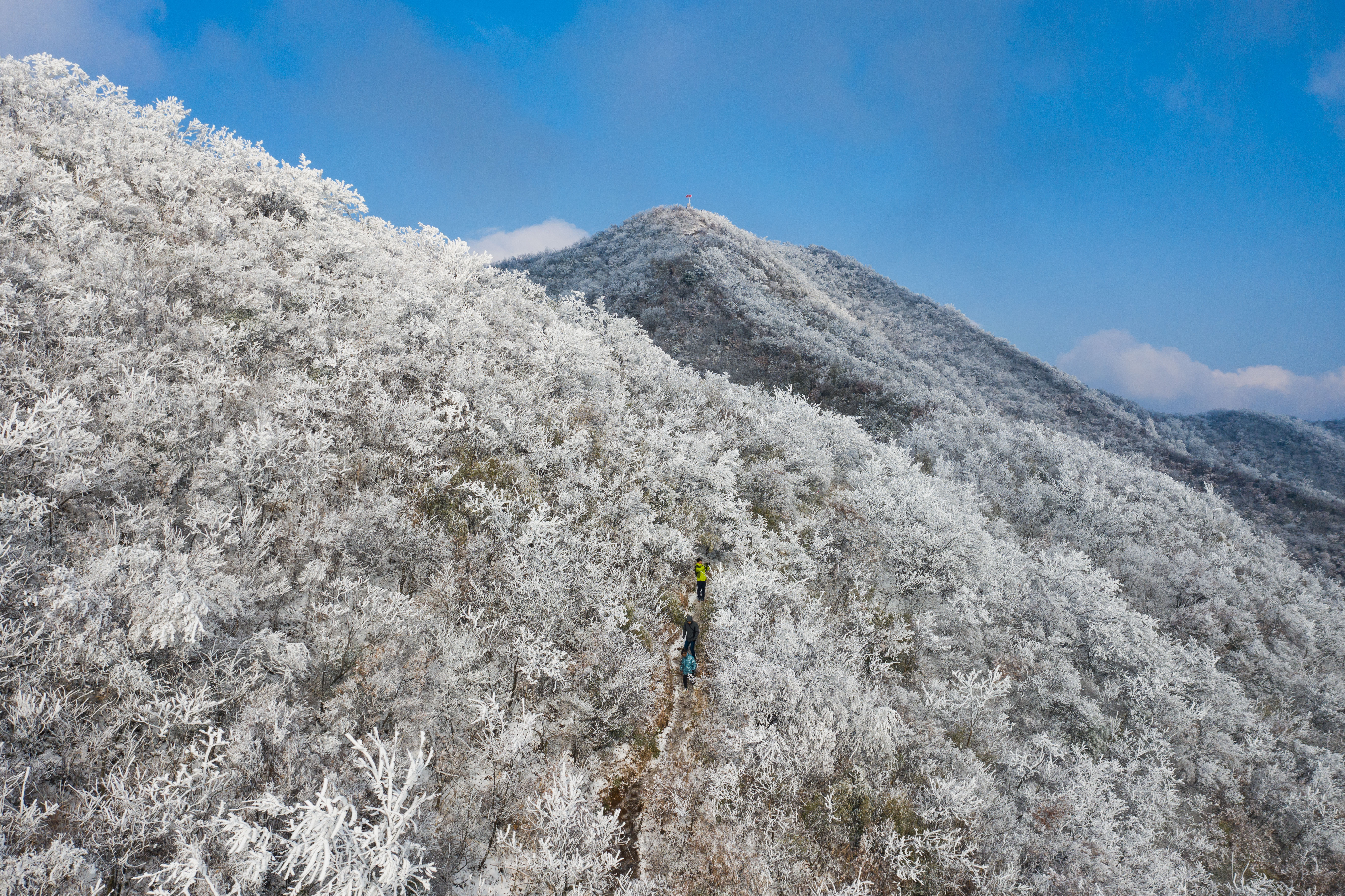 雾凇|冰花弥漫 上下一白 永康大寒山雪后雾凇惊艳