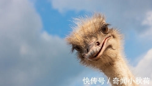 6条生活中的科学知识,如果人的大拇指长了三节会怎样?