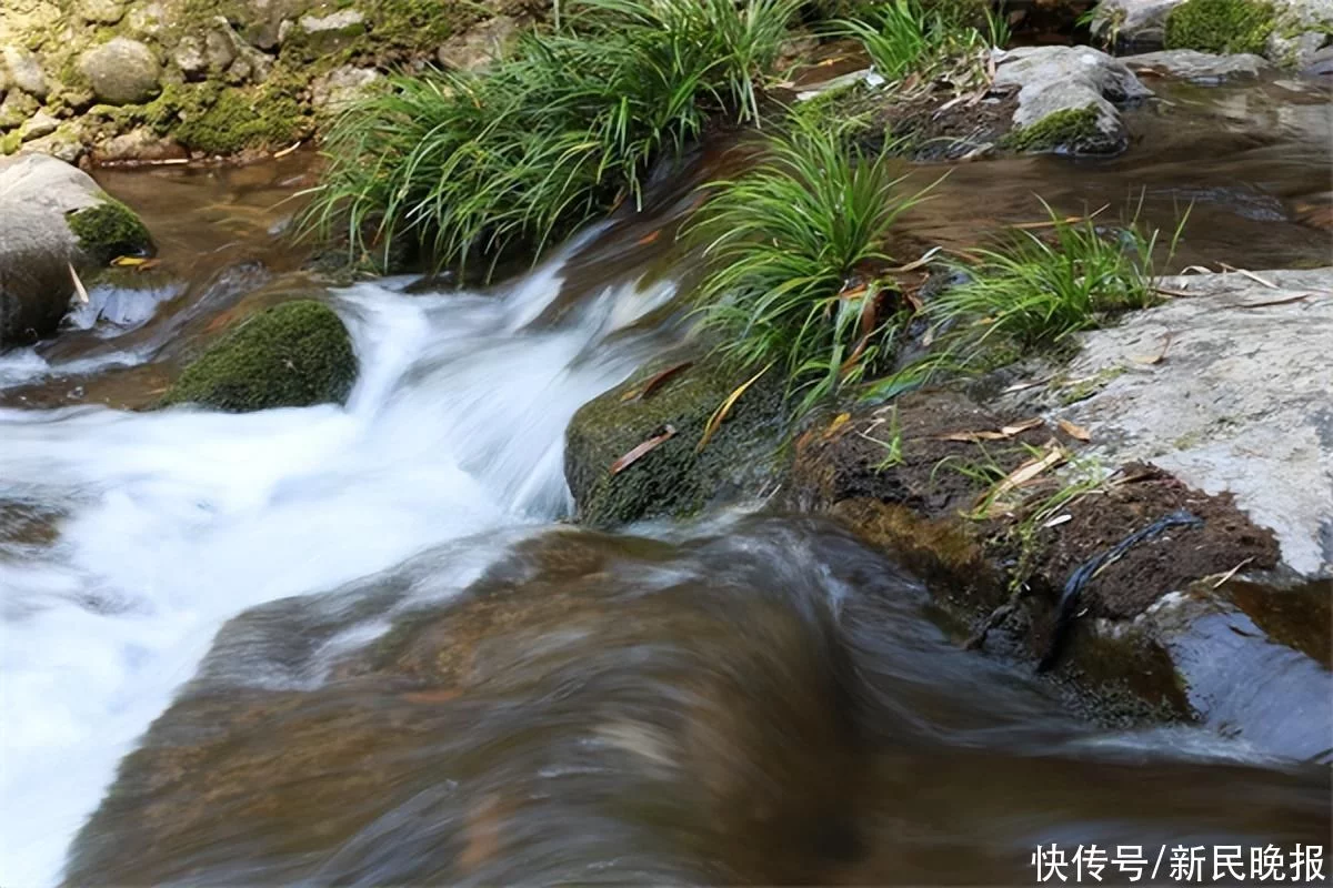 学到了吗（水经注是哪个作者）水经注是哪个作者采微是什么意思 第2张