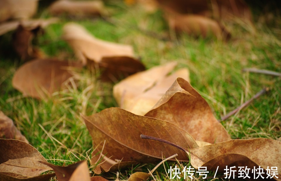 老友人$人到五十才明白,再有本事也要留住三个人,为晚年做好准备!