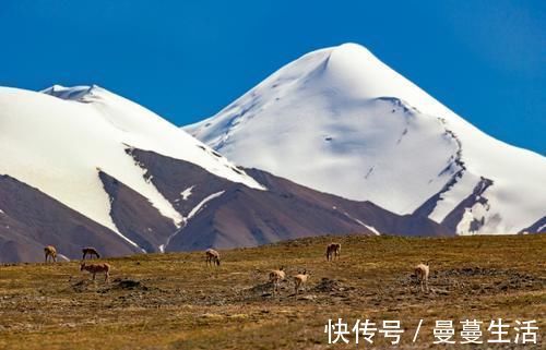 天路|中国“最大的无人区”可可西里，到底有多危险？如今算明白了