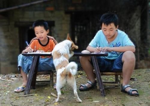 70后|孩子多的家庭,排行第几的孩子比较有出息呢?通常是家里的这个娃