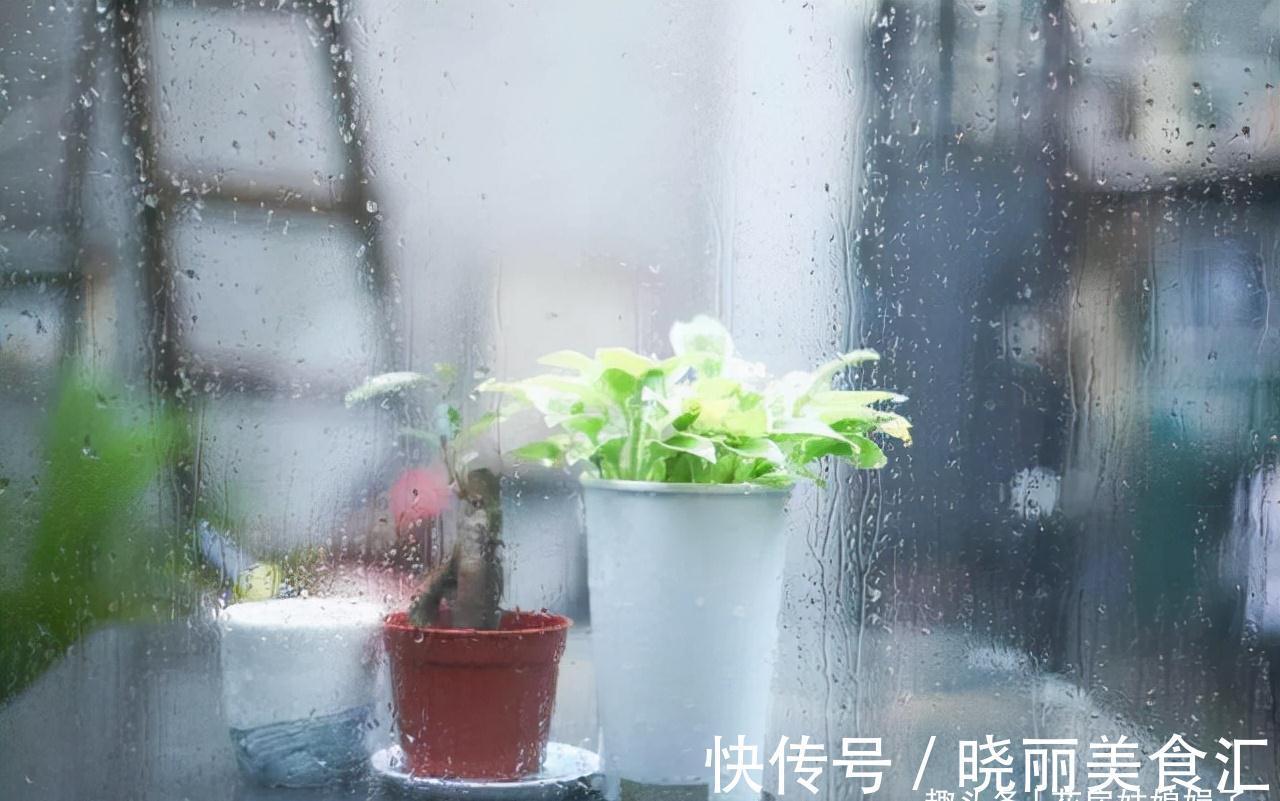 养花新手时常犯的5个养花错误，看似很美丽，实际很费钱