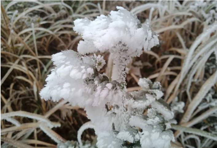 贵州多地迎来新年降雪！雪景太美了！