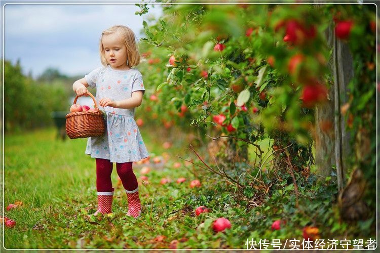  分析|在未来的农村，存在暴富机会的行业还有哪些？分析一下