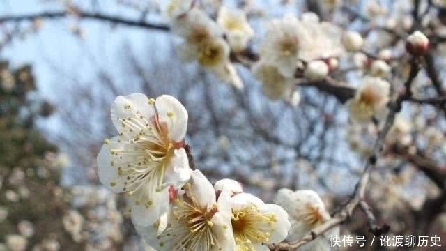 辛弃疾&陆游最著名的一首七律，句句经典，其中1句境界之高常人难以企及