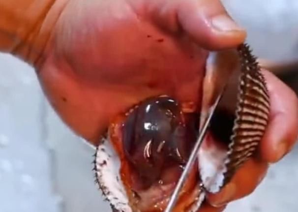 种海鲜|会“流血”的海鲜,是柬埔寨人的最爱,8块就能买一大盆