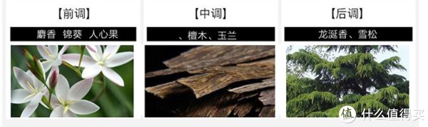 新手|【艾路的气味管理计划】 篇二：618必买！6款送妹首选，新手接受度也超高的香水安利~