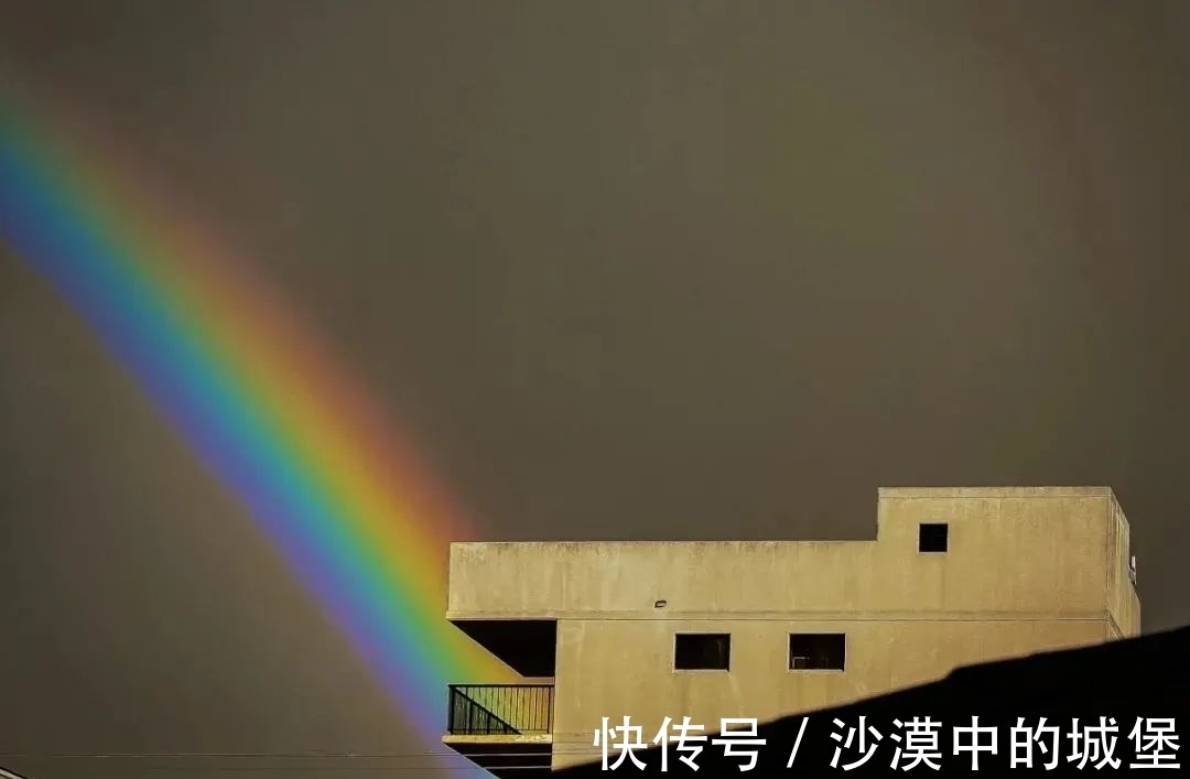 查令十字街84号&当你感到迷茫时,不如读读这本书