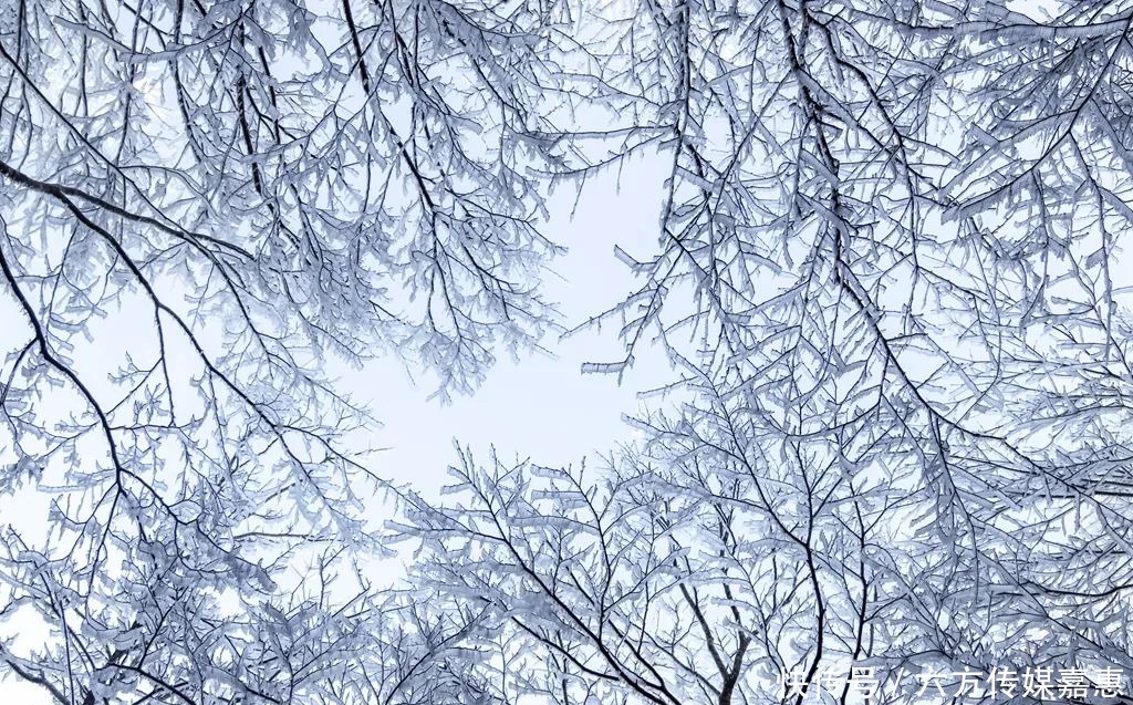 明天|如果明天下雪，陪我去敕木山看冬天的第一场雪吧