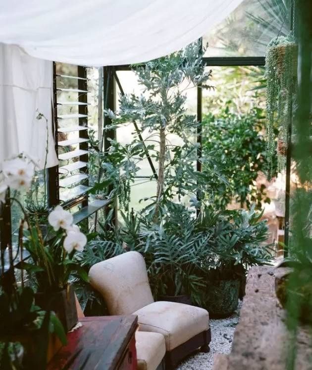 封闭阳台养花有禁忌,南北朝向大不同,选错了全部枯死