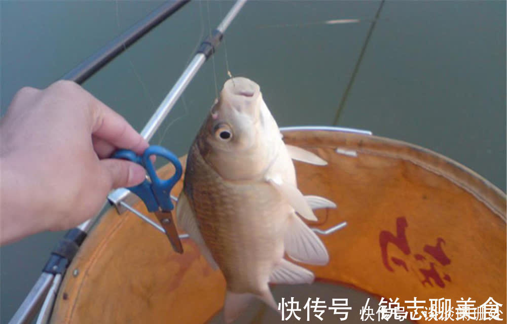 鱼情|野钓调漂就是钓钝,鱼情好要钓钝,鱼口轻也要钓钝,知道原因吗?