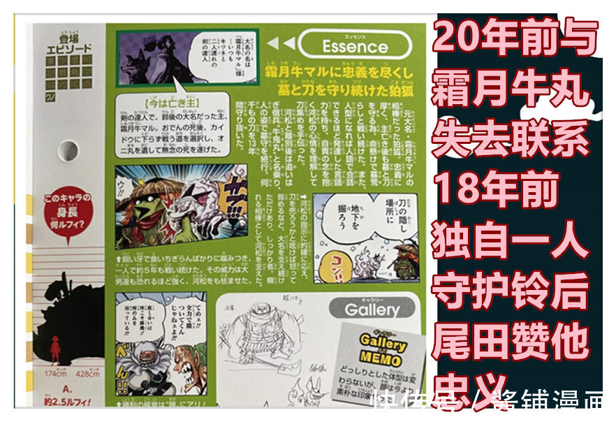 狛狐|《海贼王》新生命卡,尾田又创造新幻兽系果实,传说级的大妖怪形态