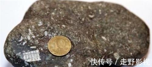 芯片|渔民捡到奇石,镶嵌2.5亿年前“芯片”,史前真的存在高等文明?