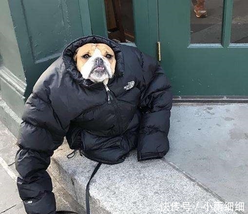 「小寒」来了 这个隐形“凶手”,需要警惕!尤其是孩子和老人