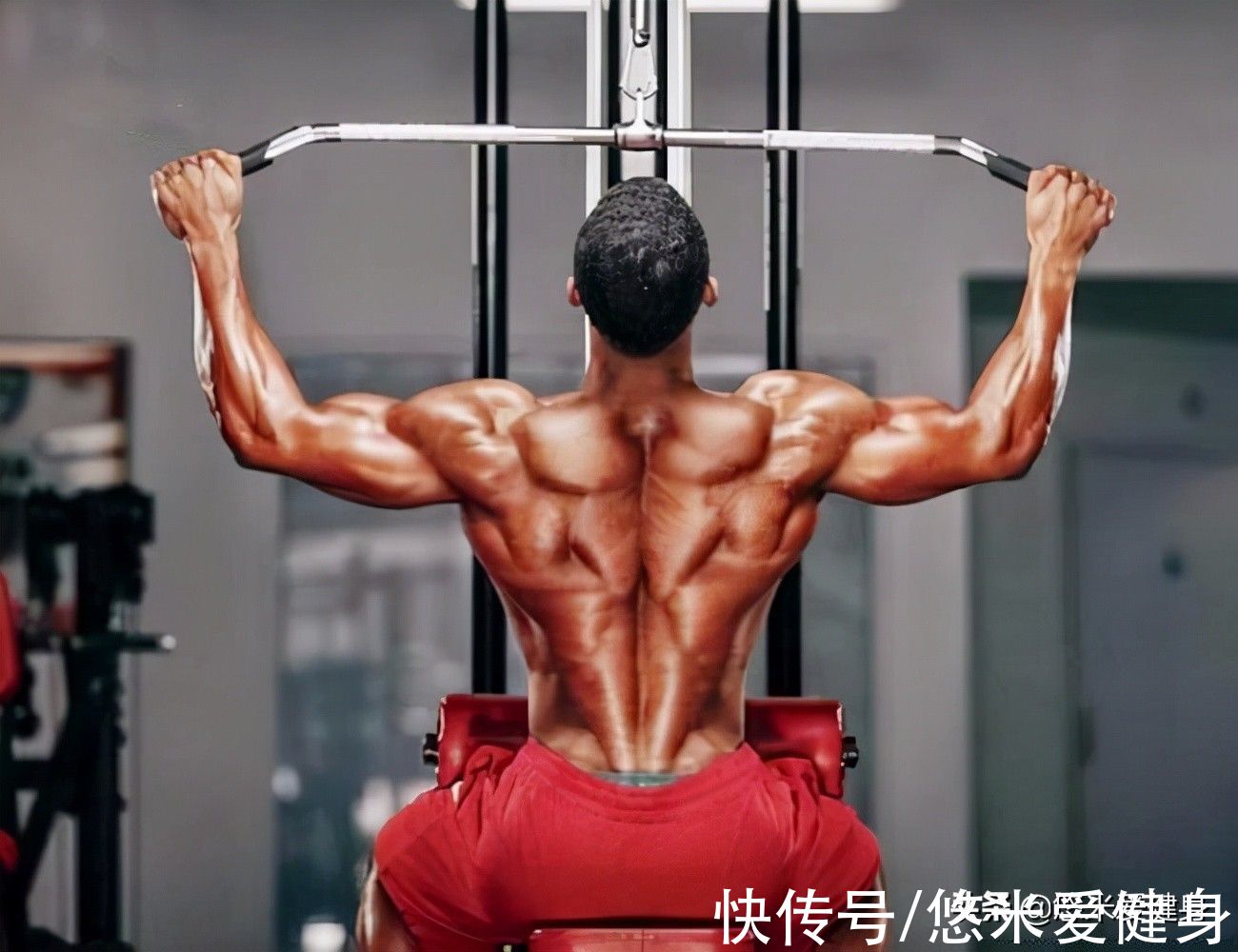 杠铃|想要提升练背效果，重点训练这3个动作，让你的背部肌肉更宽更厚