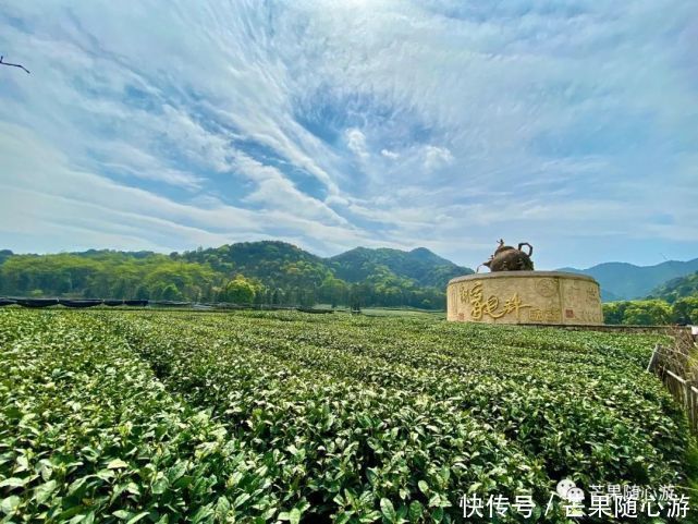 西湖龙井|这个又美又原生态到豹子在山里一周还没捉到的地方你敢去吗？