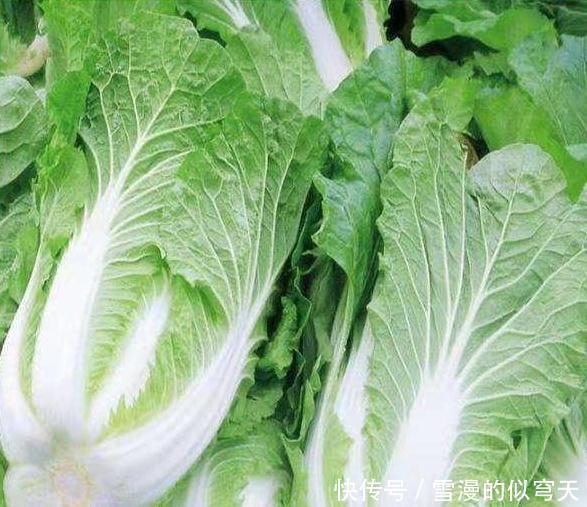 傻傻|白菜吃完不能碰什么医生提个醒切莫碰此物,别还傻傻不明白