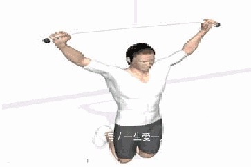 倒三角|训练背部超有效的8个动作,练出迷人倒三角!