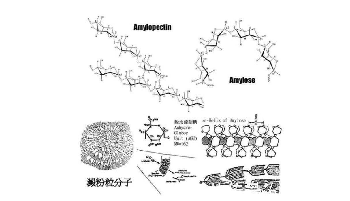 豆腐|瘦肉咬不动记住4个技巧，猪肉嫩滑如豆腐，大厨教你正确嫩肉方法