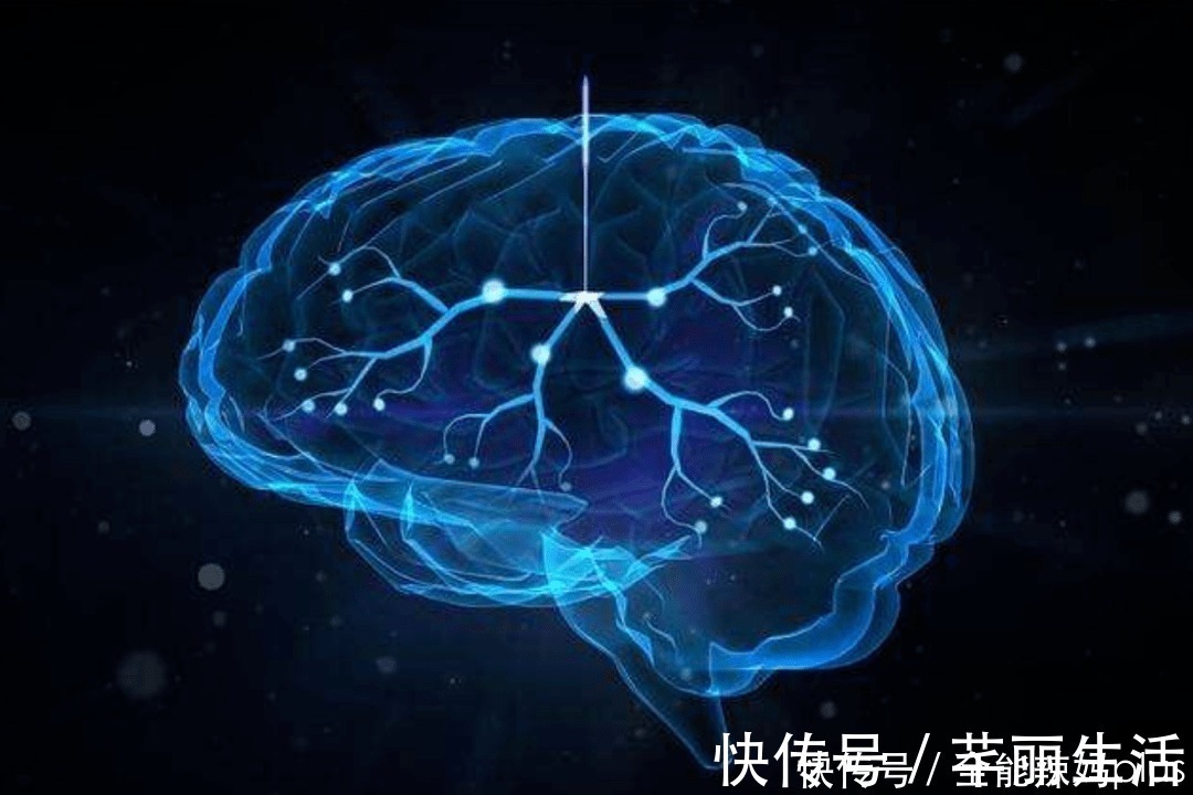 神经学家|神经学家:这种最提高孩子智力发育的行为,却被亿万家长“禁用”