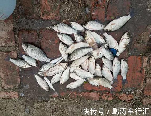这款钓饵有点“土”，用来钓鲫鱼刚刚好，爱钓鱼的你别错过