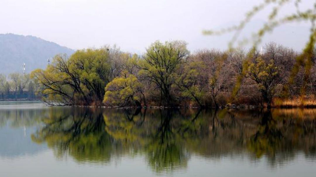暗用|裴迪一首很有趣的诗,通篇构思巧妙暗用典故,寓意深远很有韵味