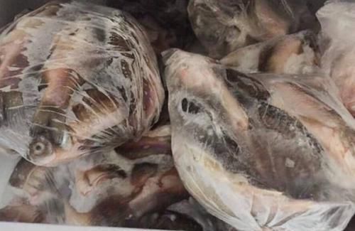 冰箱拿出来的冻鱼，万万不要用水泡，教你一招，吃起来跟鲜鱼一样