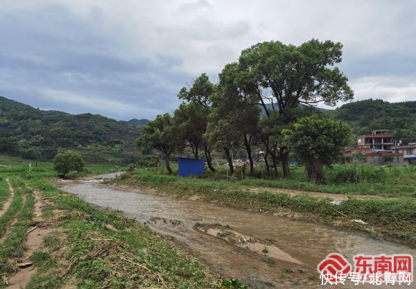 定格|霞浦防汛殉职村支书孙丽美：把生命定格在防汛路上