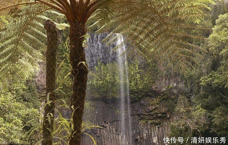 提醒:湿气重的人,得少吃这5类食物,以免越吃湿气越重