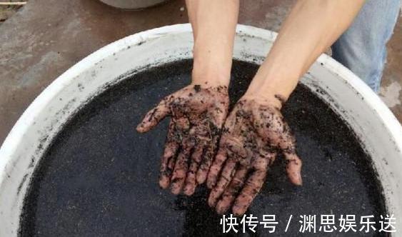 用啥水浇花长得快、开花多、虫害少3个妙招,省时省钱又省力