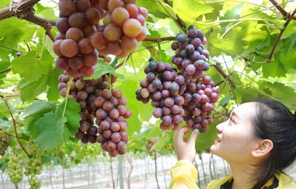 带上你的“李焕英”来绍兴，让她更高兴！