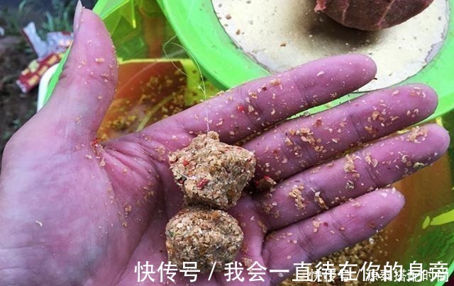 鱼钩|上饵时需要包住鱼钩吗不包住对钓鱼有没有影响困惑的看这