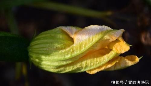 长寿|想长寿全靠吃,以下食物换着来,滋阴补血,补血益气,早吃早好