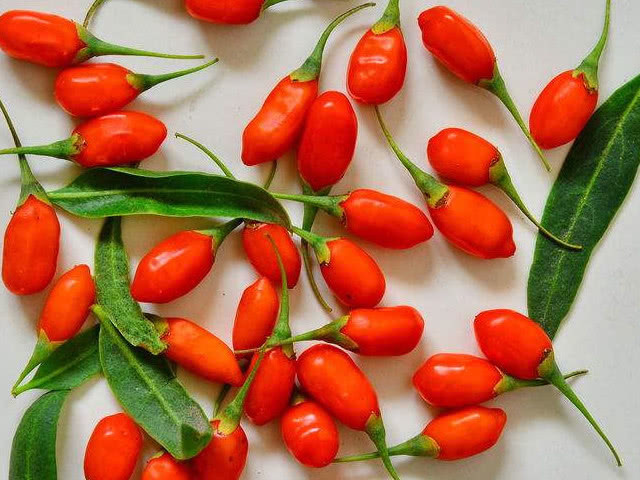 b1|枸杞虽好，但别和他一起，毒性胜似“鹤顶红”早知早预防