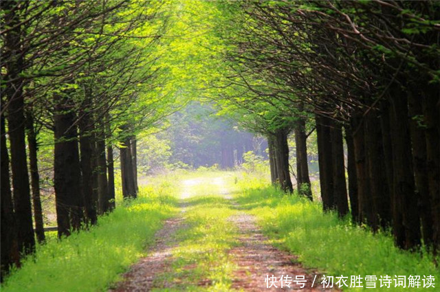 春深诗词六首赏读:何处春深好,城春草木深