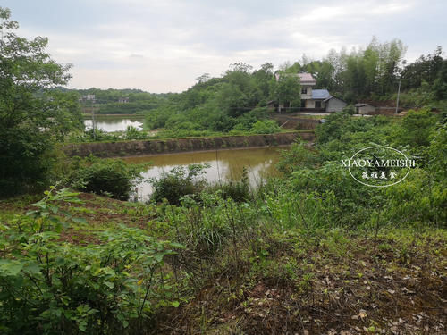 湖南有一种火焙鱼，不烟熏也不放盐，自然鲜甜，炒辣椒下一大碗饭