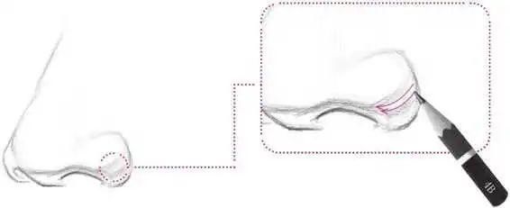 鼻孔@零基础素描教程:分步骤讲解34侧面鼻子画法,简单易学,快临摹