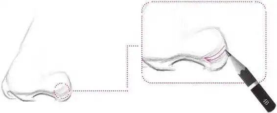 鼻孔@零基础素描教程：分步骤讲解34侧面鼻子画法，简单易学，快临摹