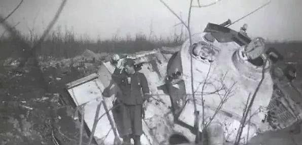 德国|德军二战的100万“动物部队”,没它们可能早就输了