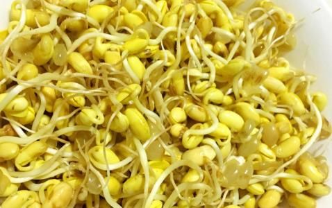  黄豆芽营养丰富的常见菜品，不同的吃法不同功效！你肯定不知道