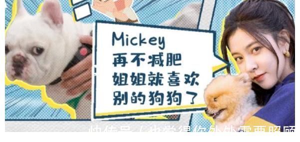 《家务男》3个明星反差大：宋妍霏爱心爆棚、黄景瑜不再霸道总裁