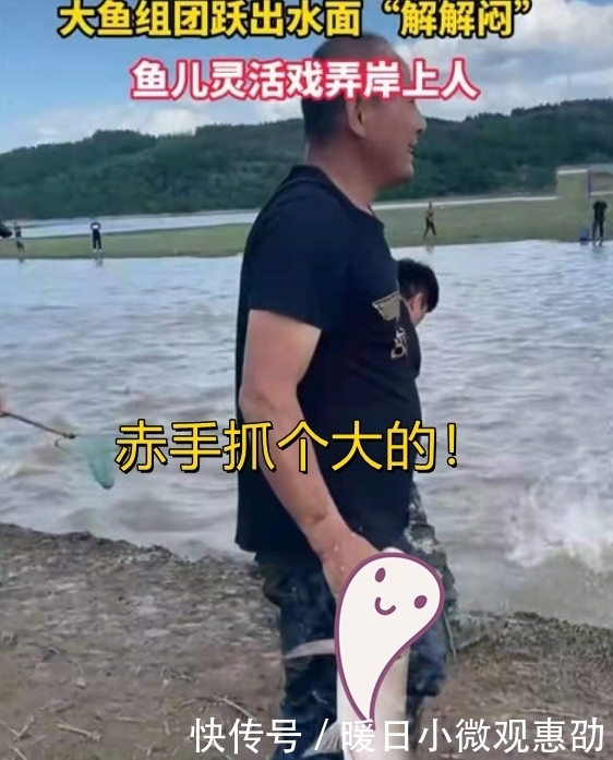 景象|吉林一水库现鲤鱼跃龙门景象，钓友伸手就能抓住大鱼，场面壮观