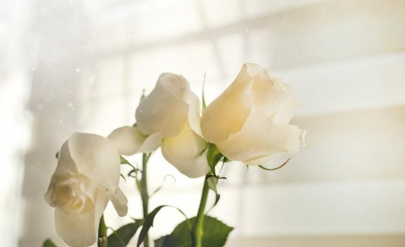 |处变不惊的三生肖女,非常幽默, 爱情事业双丰收