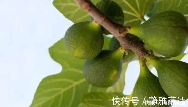 帮手|乳腺结节的“帮手”有哪些?女性趁早改正,别不当回事